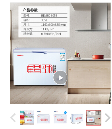 星星（XINGX） 305升 商用卧式冰柜 单温单箱电冰箱 冷藏冷冻转换冷柜 安全门锁 顶开门 BD/BC-305E