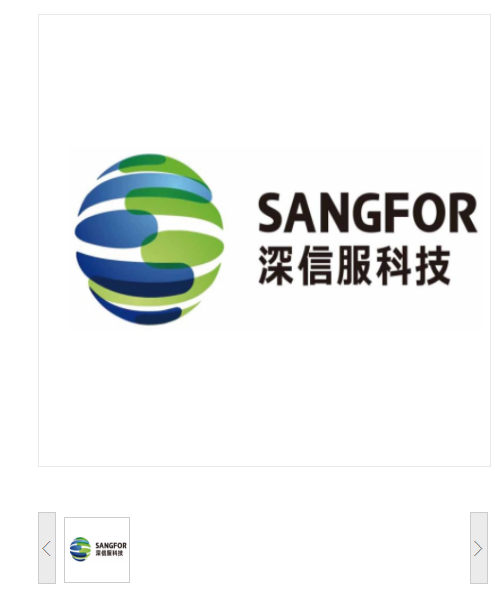 深信服 蓝色VPN认证key 独立USB KEY（适用于RSA算法） 磁盘阵列