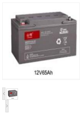 山特(SANTAK) C12-65 不间断电源